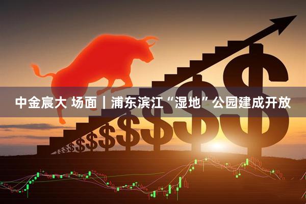 中金宸大 场面｜浦东滨江“湿地”公园建成开放