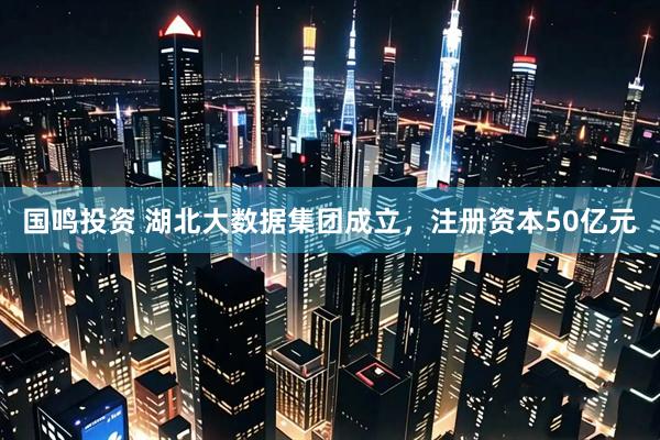 国鸣投资 湖北大数据集团成立，注册资本50亿元