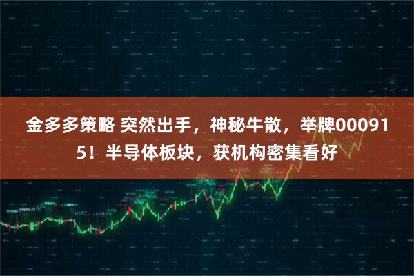 金多多策略 突然出手，神秘牛散，举牌000915！半导体板块，获机构密集看好