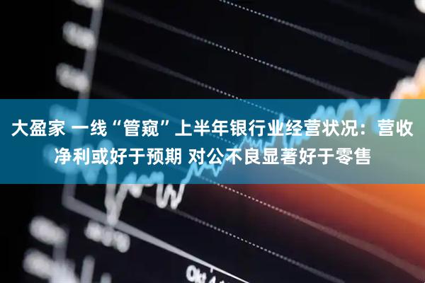 大盈家 一线“管窥”上半年银行业经营状况：营收净利或好于预期 对公不良显著好于零售