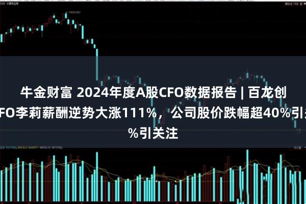 牛金财富 2024年度A股CFO数据报告 | 百龙创园CFO李莉薪酬逆势大涨111%，公司股价跌幅超40%引关注
