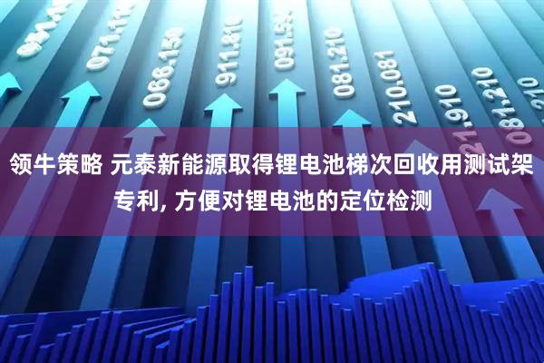 领牛策略 元泰新能源取得锂电池梯次回收用测试架专利, 方便对锂电池的定位检测