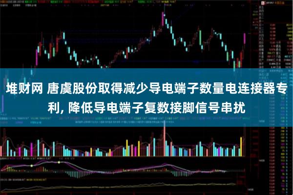 堆财网 唐虞股份取得减少导电端子数量电连接器专利, 降低导电端子复数接脚信号串扰