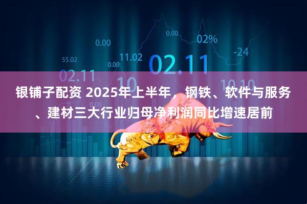 银铺子配资 2025年上半年，钢铁、软件与服务、建材三大行业归母净利润同比增速居前