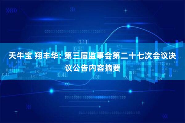 天牛宝 翔丰华: 第三届监事会第二十七次会议决议公告内容摘要