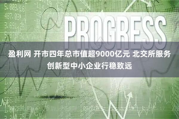 盈利网 开市四年总市值超9000亿元 北交所服务创新型中小企业行稳致远