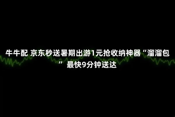 牛牛配 京东秒送暑期出游1元抢收纳神器“溜溜包” 最快9分钟送达